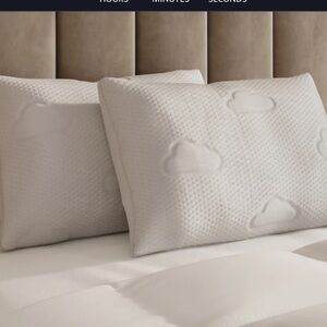 Set of 2 Puffy pillows